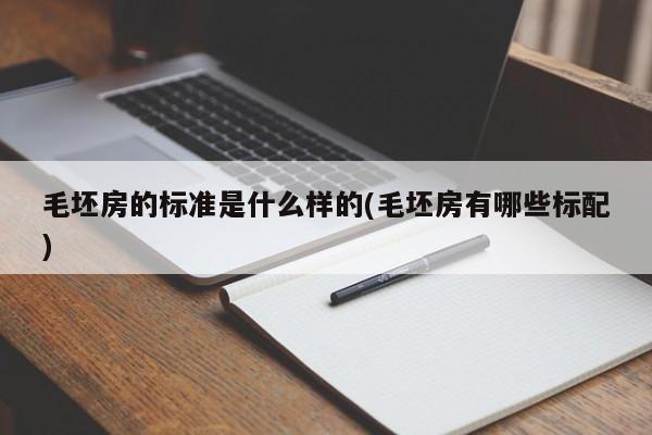 毛坯房的标准是什么样的(毛坯房有哪些标配)