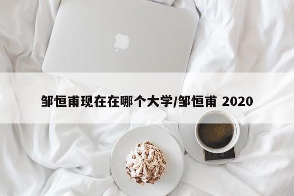 邹恒甫现在在哪个大学/邹恒甫 2020