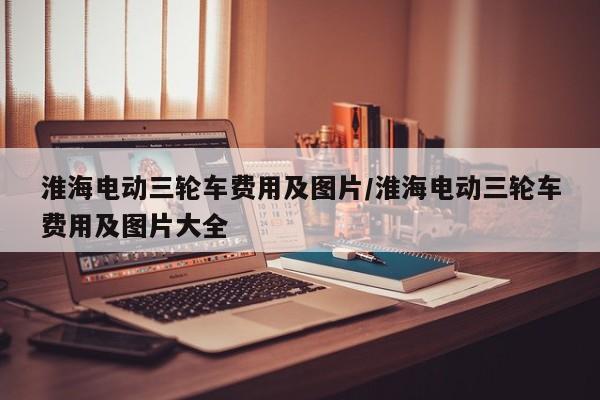 淮海电动三轮车费用及图片/淮海电动三轮车费用及图片大全