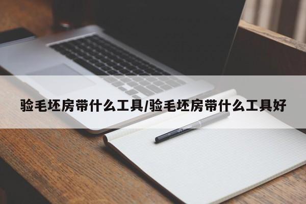 验毛坯房带什么工具/验毛坯房带什么工具好