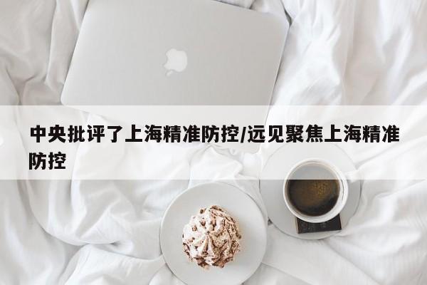中央批评了上海精准防控/远见聚焦上海精准防控