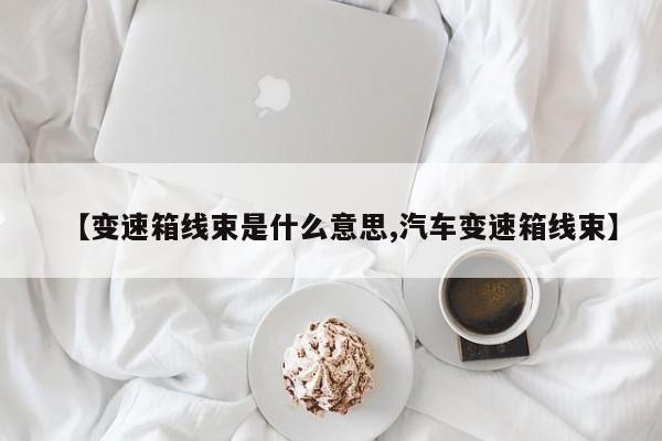 【变速箱线束是什么意思,汽车变速箱线束】